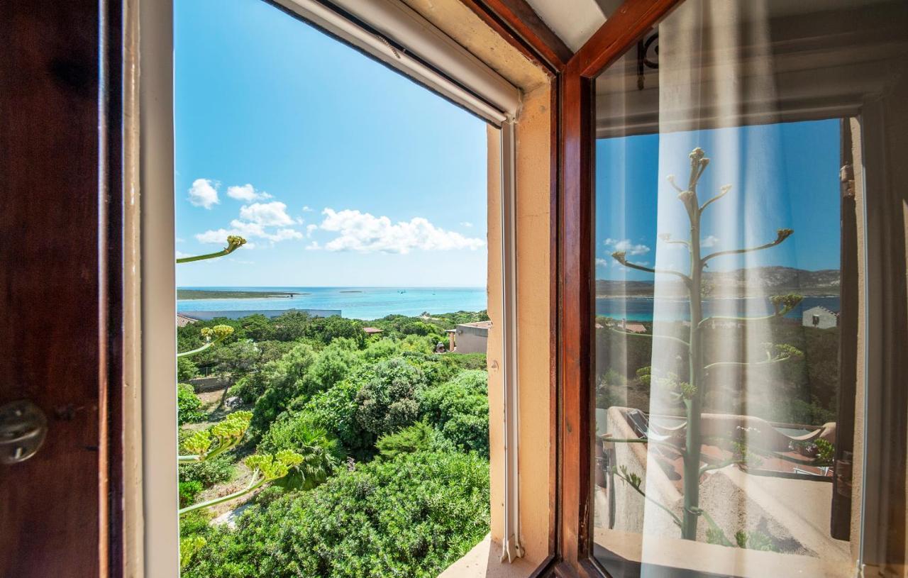 Villa Ginepri スティンティーノ エクステリア 写真