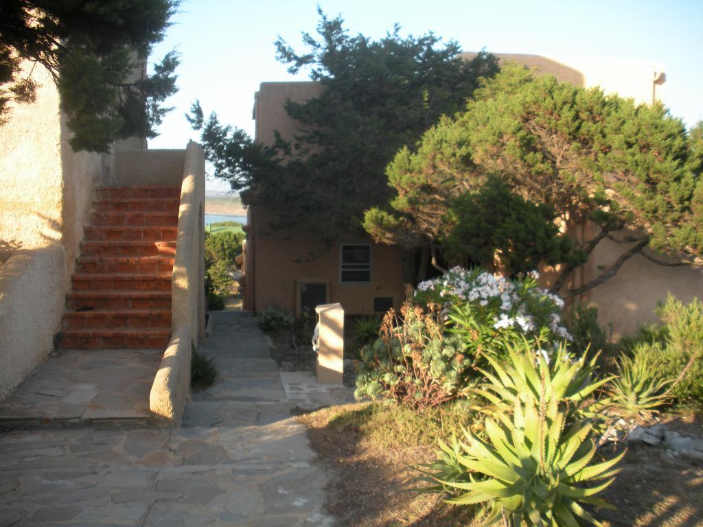 Villa Ginepri スティンティーノ エクステリア 写真